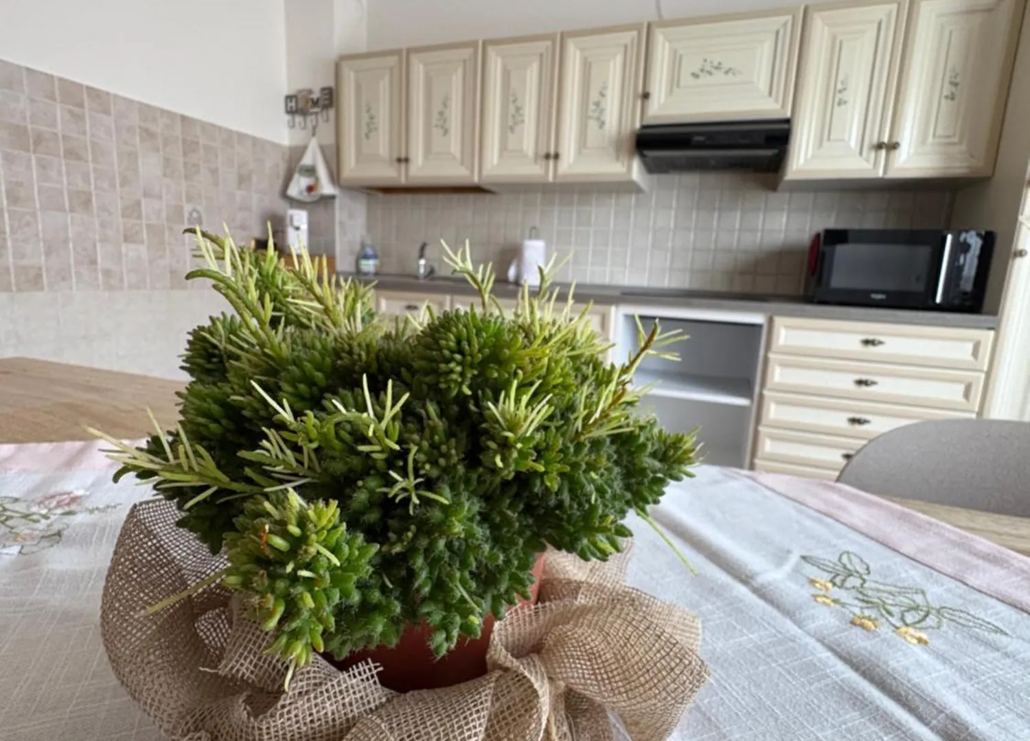 Apartament Ziamilva Santa Giustina